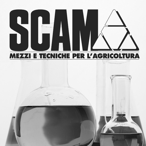 scam-chimica